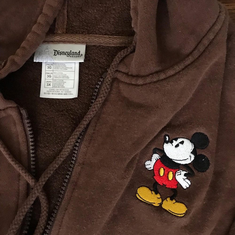 Disneyland hoodie with embroidered Mickey
